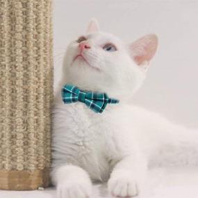 img 2 attached to 🐾 Dynmeow Plaid Pattern Cat and Dog Collars with Bowtie - Adjustable Comfort for Dogs and Cats, Ideal Gifts for Boys and Girls