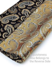 img 2 attached to Paisley Handkerchief Classic Necktie Business Men's Accessories and Ties, Cummerbunds & Pocket Squares