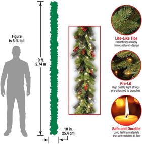 img 2 attached to National Tree Company Pre-Lit Artificial Christmas Garland, Green, Crestwood Spruce, White Lights, Decorated with Pine Cones and Berries, 9ft