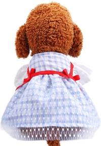 img 4 attached to 🐶 FAIRYPET Sweet Puppy Dog Princess Blue Plaid Pineapple Daisy Flower Bow Red Heart Soft & Comfy Skirt Pet Lace Cake Camisole Tutu Dress: Stylish and Comfortable Pet Clothing