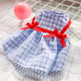 img 1 attached to 🐶 FAIRYPET Sweet Puppy Dog Princess Blue Plaid Pineapple Daisy Flower Bow Red Heart Soft & Comfy Skirt Pet Lace Cake Camisole Tutu Dress: Stylish and Comfortable Pet Clothing