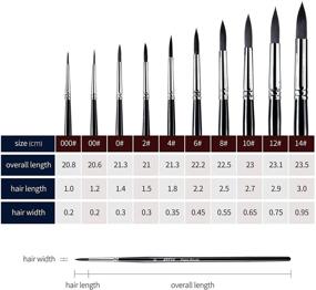 img 2 attached to Набор водяных красок ARTME - 10 шт. Круглые детальные кисти с волосом козы - профессиональные кисти для акварели, акрила, масла, гуаши, холстовой живописи - высококачественные кисти для акварели.