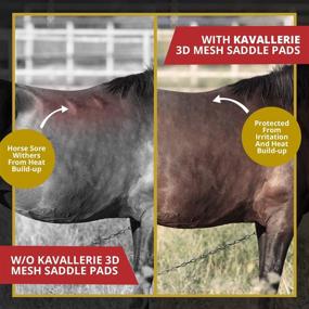 img 1 attached to 🐎 Kavallerie All-Purpose Saddle Pad: Quilted Anti-Slip Padding and Breathable Mesh Fabric for Ultimate Comfort and Airflow - Perfect for English Riding