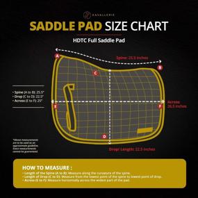 img 2 attached to 🐎 Kavallerie All-Purpose Saddle Pad: Quilted Anti-Slip Padding and Breathable Mesh Fabric for Ultimate Comfort and Airflow - Perfect for English Riding