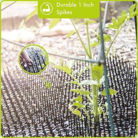 img 3 attached to Highly Effective Homarden Cat Repellent Outdoor - 10-Piece Set of Cat Scat Mats - 16x13 Inches - with 1-inch Plastic Spikes - 13ft Coverage - Ultimate Cat Deterrent!