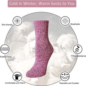 img 1 attached to 🧦 Winter Essentials: Cozy & Comfortable Women's Wool Socks (5 Pairs)