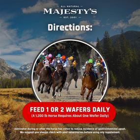 img 2 attached to Majesty's Flex XT Wafers: Advanced Horse Joint Support with Higher Supplement Levels - Glucosamine, MSM, Yucca, Vitamin C - 30 Count (1 Month Supply)