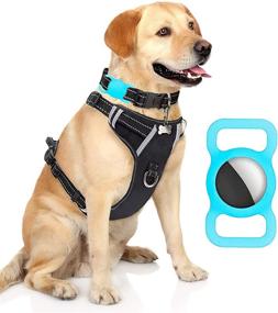 img 4 attached to 🐾 Защитный чехол Fangsheng AirTag для домашних животных - Силиконовый петлевой держатель с GPS-отслеживанием, легкий, мягкий, не царапается, не теряется - голубой (набор из 2 штук)