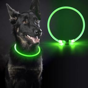 img 4 attached to LED Dog Collars - USB Rechargeable, Safety Light Up Collar for 🐾 Dogs: Adjustable, High Visibility, Ensures Nighttime Safety for Large, Medium & Small Breeds