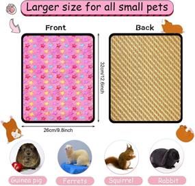 img 3 attached to Hamster Cushion Squirrel Hedgehog Chinchilla Small Animals