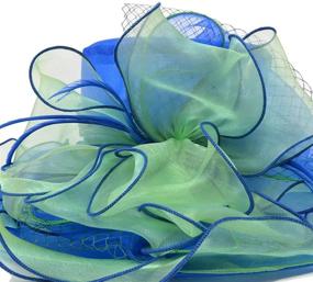 img 2 attached to 🌹 Rose Organza S037 Kentucky Fascinator Wedding Accessories for Special Occasions - Women's Special Occasion Accessories