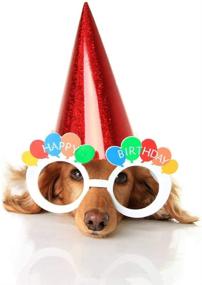 img 2 attached to Fun Novelty Birthday Glasses & Photo Props – Perfect Birthday Party Favors for All Ages!