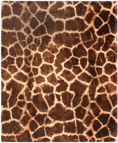 img 4 attached to 🦒 Giraffe Print Throw Blanket - Super Soft, Extra-Large Giraffe Blanket for Women, Girls, Teens, and Children - Cute Fleece Giraffe Throw (50in x 60in) - Warm, Plush, and Cozy Sofa or Couch Throw