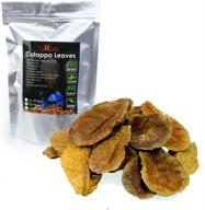 dr. moss catappa leaves - indian almond leaves medium catappa 🍃 10-15cm for betta fish & shrimps (20 pcs): natural and effective aquarium conditioner logo