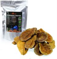 dr. moss catappa leaves - indian almond leaves medium catappa 🍃 10-15cm for betta fish & shrimps (20 pcs): natural and effective aquarium conditioner логотип