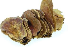 img 2 attached to Dr. Moss Catappa Leaves - Indian Almond Leaves Medium Catappa 🍃 10-15cm for Betta Fish & Shrimps (20 pcs): Natural and Effective Aquarium Conditioner