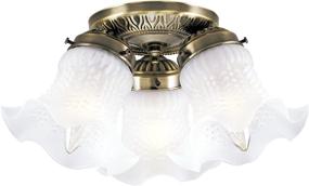 img 2 attached to 🔆 Westinghouse Lighting 6668600 Antique Brass Flush-Mount Ceiling Fixture with Frosted Ruffled Edge Glass, Three-Light Interior Design