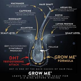 img 2 attached to 🌱 Watermans Grow Me Hair Growth Shampoo, Made in the UK - Sulphate Free, Vegan, with Caffeine, Biotin, Argan Oil, Allantoin, Rosemary. Enhances Hair Growth, Addresses Hair Loss, Boosts Hair Density for People of All Races.