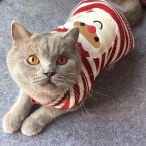 img 1 attached to 🎅 BOBIBI Cat Sweater - Christmas Santa Claus Design | Pet Cat Winter Knitwear for Warmth and Style