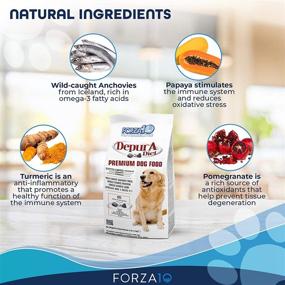 img 2 attached to 🐶 Forza10 Active Depura Daily Life Protection Dry Dog Food - Limited Ingredient Gluten Free, All Natural, Omega 6 Vet Recommended Dog Food