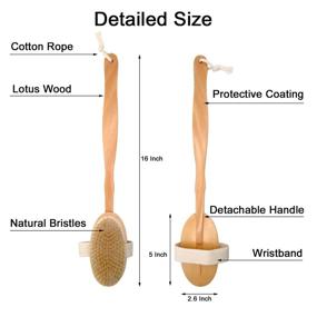 img 3 attached to 🧼 Long-handled Detachable Shower Brush with Natural Bristles for Men and Women – Wooden Body Scrubber. Bamboo Back Scratcher – Convenient Solution for Itching and Scratching.