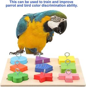 img 2 attached to 🐦 Frienda 4 Piece Bird Training Toy Set - Wooden Bird Block Puzzle, Parrot Training Basketball, Colorful Stacking Rings, Birds Swing Perch