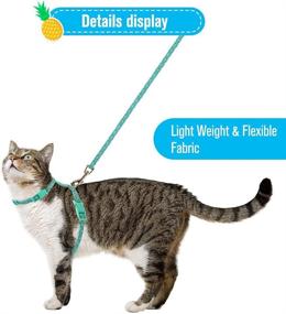 img 1 attached to PUPTECK Cat Harness with Leash Set - Adjustable Soft Strap in Figure 8 Style: Adorable and Special Feline Adventure Gear