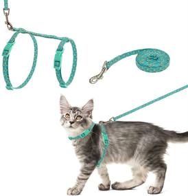 img 4 attached to PUPTECK Cat Harness with Leash Set - Adjustable Soft Strap in Figure 8 Style: Adorable and Special Feline Adventure Gear