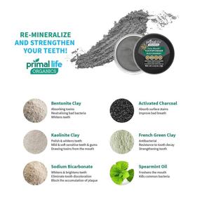 img 2 attached to Activated Charcoal Teeth Whitening Powder - Dirty Mouth Tooth Whitener with Essential Oils and Bentonite Clay, 1 Month Supply, 60 Uses - Black Spearmint Flavor (.25 oz) by Primal Life Organics