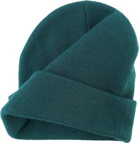 img 1 attached to 🧢 BRUCERIVER Classic Slouchy Beanie Cap: Stylish Knit Hats for Men & Women with Exceptional Elasticity