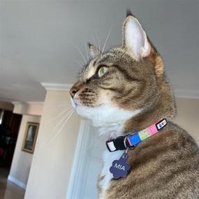 img 3 attached to 🐾 Pawtitas Pet Multicolor Cat Collar: Ensuring Safety with a Removable Bell and Safety Buckle for Your Kitten