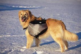 img 1 attached to 🐶 Оставайся смелым: рюкзак для собак Doggles в размере экстра-лардж сине-серого цвета - идеален для активных прогулок и путешествий на открытом воздухе.