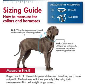 img 1 attached to Pet Products 06421 WDF14 Adjustable