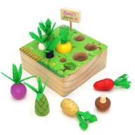 🍇 afounda montessori wooden toy for toddlers: colorful vegetables & fruits shape sorting game for preschool learning, fine motor skill development logo