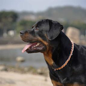 img 1 attached to 🐾 TSPRO Martingale Dog Collar: Adjustable Stainless Steel Slip Training Choke Chain Collar