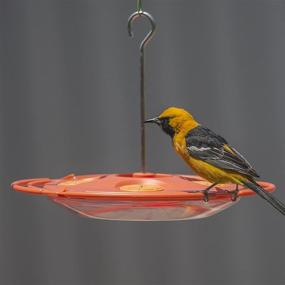 img 3 attached to Perky-Pet 16oz Plastic Oriole Feeder - Model 467-3
