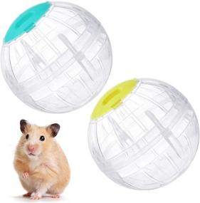 img 4 attached to Exercise Transparent Hamsters Increase Activity