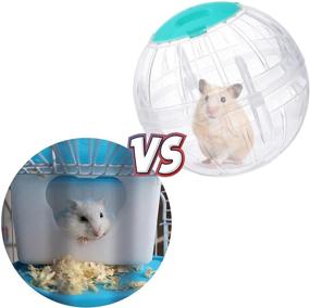 img 1 attached to Exercise Transparent Hamsters Increase Activity