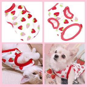 img 2 attached to 🐶 3-Pack Small Dog Shirts | Breathable Cotton Pet Puppy Clothes | Cat Tee Sleeveless Vest | Cute Print T-Shirts for Small Breed Dogs & Cats | Chihuahua, Yorkies, Shih Tzu, Pomeranian Outfits