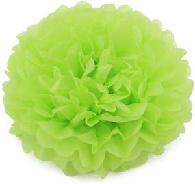 img 2 attached to 🌸 Whimsical Mix Green Tissue Paper Pom-poms: 16PCS 6", 8", 12" Flower Ball Decorations for Weddings, Parties, and Outdoor Events