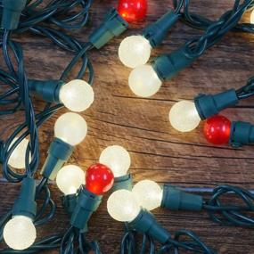 img 2 attached to 🎄 BOHON Christmas Lights Set: Multi Color 50LEDs Pearl String Light with G15 Berry Glass Bulbs Globe - Perfect for Outdoor and Indoor Party & Christmas Tree Decor