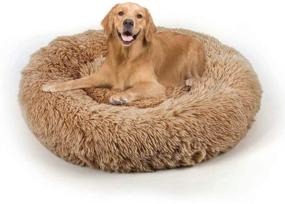 img 4 attached to Calming Orthopedic Donut Cuddler Medium Cats in Beds & Furniture