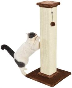 img 4 attached to AmazonBasics Premium Cat Scratching Post