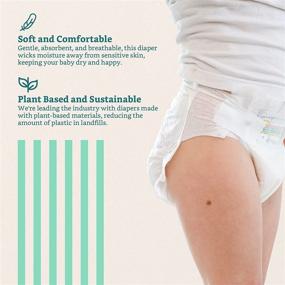 img 1 attached to Nest Baby Diapers: Size 5, 26-35 lbs, 108 Count Case - Premium & Gentle Diapers for Sensitive Skin, Eco-Friendly & Fragrance-Free