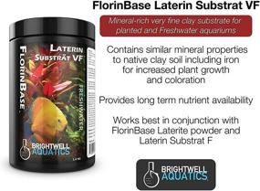 img 1 attached to 🌿 Brightwell Aquatics FlorinBase Laterin Substrat F - Premium Clay Base Substrate for Planted and Shrimp Aquaria