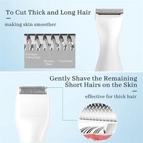 img 2 attached to 🪒 ANLAN 4 in 1 VIO Lady Shaver Bikini Trimmer: Waterproof and Multifunctional Razor with Nose and Eyebrow Trimmers, Ideal for Unwanted Hair Treatment in the Bikini Line