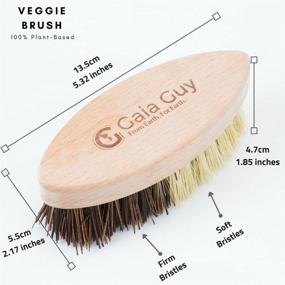 img 1 attached to 🌱 Zero Waste Kitchen Brushes: Wood and Tampico Bottle Brush, Pot Brush, Vegetable Brush Set - Biodegradable and Effective Cleaning Tools