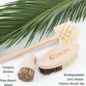 img 2 attached to 🌱 Zero Waste Kitchen Brushes: Wood and Tampico Bottle Brush, Pot Brush, Vegetable Brush Set - Biodegradable and Effective Cleaning Tools