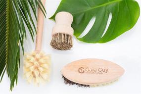 img 3 attached to 🌱 Zero Waste Kitchen Brushes: Wood and Tampico Bottle Brush, Pot Brush, Vegetable Brush Set - Biodegradable and Effective Cleaning Tools