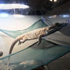 img 2 attached to 2 Pack Reptile Hammock Lounger with Ladder - Bearded Dragon Hammock Accessories for Bearded Dragons, Geckos, Lizards, and Reptiles